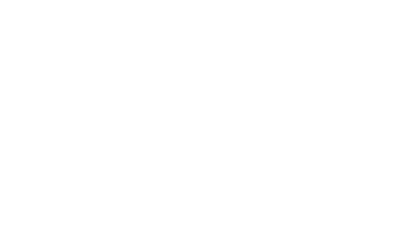 Logo Bolt